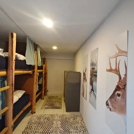 Hostel Camp&hostel *