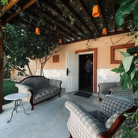 Auberge de jeunesse Camp&hostel *