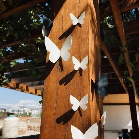 Camp&hostel Auberge de jeunesse *